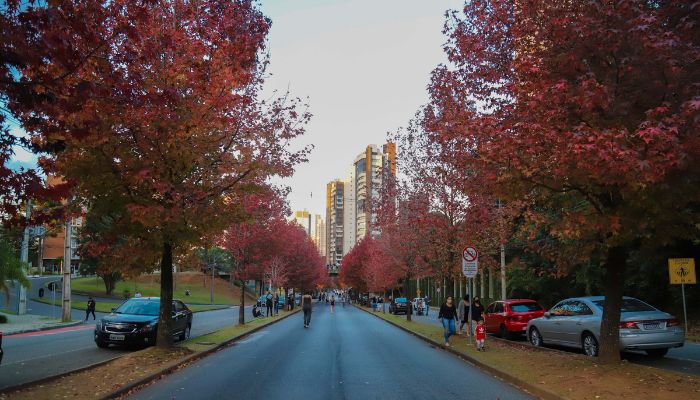Foto: Geraldo Bubniak/AEN Saúde reforça importância de cuidados com doenças respiratórias típicas do outono